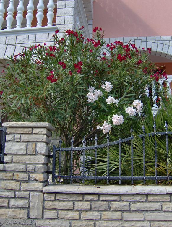 Apartments Tonimir Vodice Zewnętrze zdjęcie